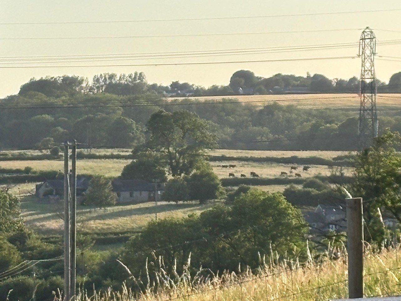The fields