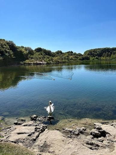The lake and medieval village at Cosmeston Lakes Country Park