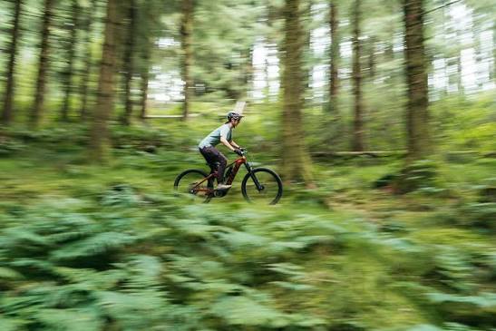 A mountain biker riding a forest trail at BikePark Wales